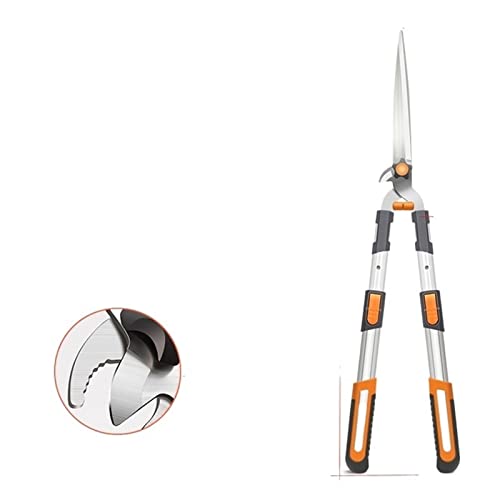 Oxalsäure verdampfer, Gartenbaum -Schnittschere -Amboss -Bypass -Rasierkante Luster Teleskope Langstreicher Aluminiumgriff Fruchtmesserpflücker Prahler(740-870MM) von TETEOM
