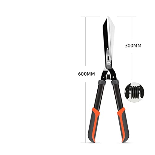 Oxalsäure verdampfer, Gartenbaum -Schnittschere -Amboss -Bypass -Rasierkante Luster Teleskope Langstreicher Aluminiumgriff Fruchtmesserpflücker Prahler(Upgrade-600MM) von TETEOM