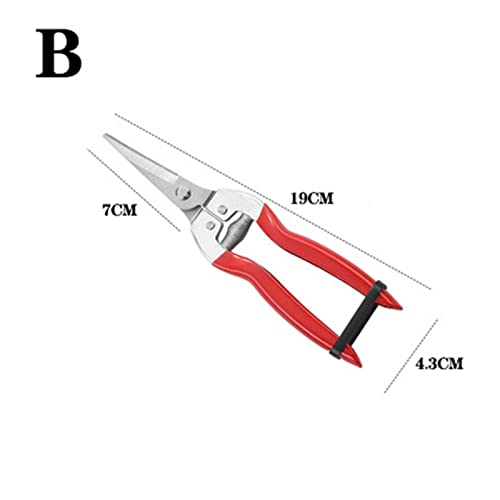 Oxalsäure verdampfer, Gartengeschnittene Gartenschere, die Schere Micro-Spitzen-Schnittschneide Blattschneider gerade Floristenschere for Pflanzen(Pruning Shears B) von TETEOM