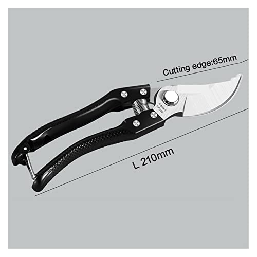 Oxalsäure verdampfer, Gartenschere transplantieren Werkzeug Obstbaum -Schnittschere Bonsai Pruners Garten Schere Garten Secateure Leichte Pruner(A) von TETEOM