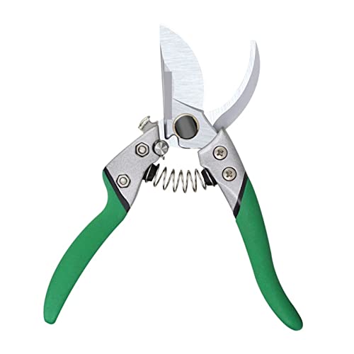 Oxalsäure verdampfer, Gartenschneide Schere Obstgarten Pflanze Zweig -Trimikultur Schneidemalte -Strauch -Schere Werkzeug Bonsai Blumen -Secateure(LA141408) von TETEOM