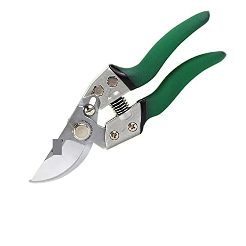 Oxalsäure verdampfer, Gartenschneide Schere Obstgarten Pflanze Zweig -Trimikultur Schneidemalte -Strauch -Schere Werkzeug Bonsai Blumen -Secateure(LA147218) von TETEOM