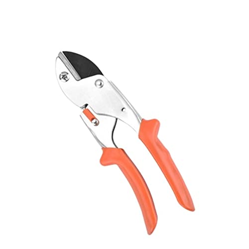 Oxalsäure verdampfer, Gartenschneidebrähte Schere Gartenwerkzeuge Schere Cutter Obst Picking Weed Home Topfzäste Pruner Edelstahl -Schnittwerkzeuge(Medium Pruner Shears) von TETEOM