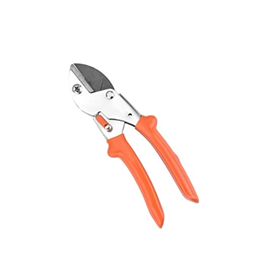 Oxalsäure verdampfer, Gartenschneidebrähte Schere Gartenwerkzeuge Schere Cutter Obst Picking Weed Home Topfzäste Pruner Edelstahl -Schnittwerkzeuge(Small Pruning Shears) von TETEOM