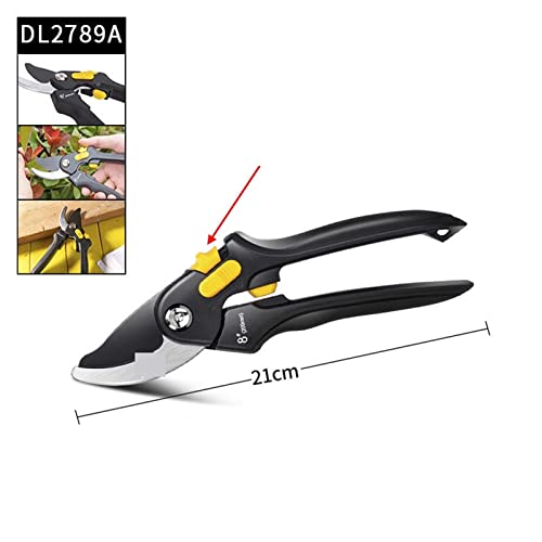 Oxalsäure verdampfer, Gartenschnitte Scheren geschnittene Äste mit 20 mm Durchmesser Obstbäume Blumenzweige und Schere Handwerkzeuge(2789A) von TETEOM