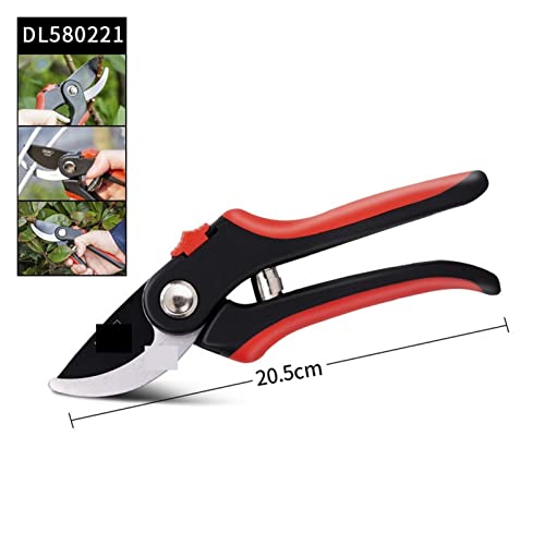 Oxalsäure verdampfer, Gartenschnitte Scheren geschnittene Äste mit 20 mm Durchmesser Obstbäume Blumenzweige und Schere Handwerkzeuge(580221) von TETEOM