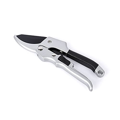 Oxalsäure verdampfer, Gartenschnitte Scheren geschnittene Äste mit 20 mm Durchmesser Obstbäume Blumenzweige und Schere Handwerkzeuge Oxalsäure verdampfer, Gartenschnitte Scheren geschnittene Äste mit 20 mm Durchmesser Obstbäume Blumenzweige und Schere Handwerkzeuge von TETEOM