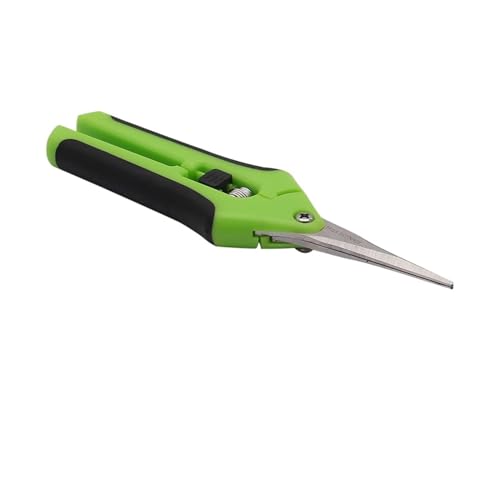 Oxalsäure verdampfer, Gartenwerkzeuge Secateurs Bonsai Schere Metallgarten Schere Schnittwerkzeug Handschneider Obst Picking Unkraut Haushalt Topf 1pc(Battery mirror) von TETEOM