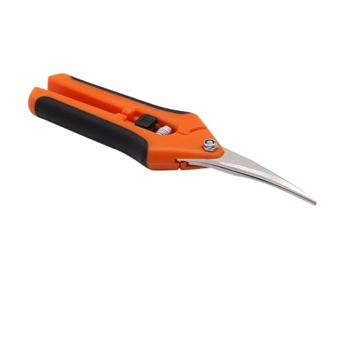 Oxalsäure verdampfer, Gartenwerkzeuge Secateurs Bonsai Schere Metallgarten Schere Schnittwerkzeug Handschneider Obst Picking Unkraut Haushalt Topf 1pc(Naranja) von TETEOM
