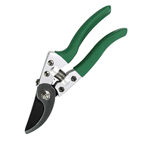 Oxalsäure verdampfer, Pruner -Schnittschere Schere Gartenbau Obstbaum Schere Rose Cippers Bonsai Gartenarbeit Secateure transplantieren Werkzeug(LA141408) von TETEOM