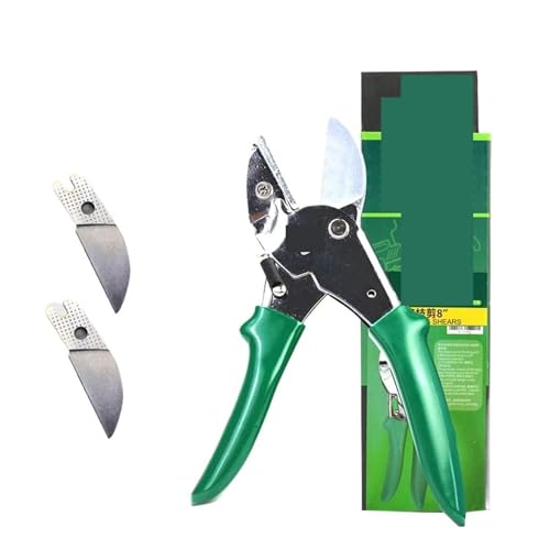Oxalsäure verdampfer, Pruner -Schnittschere Schere Gartenbau Obstbaum Schere Rose Cippers Bonsai Gartenarbeit Secateure transplantieren Werkzeug(With more blade) von TETEOM