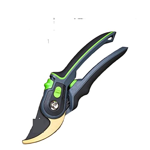 Oxalsäure verdampfer, Schnittschere transplantieren Werkzeug Gärtner Schere Gartenschere Secateurs Obstbaumzweige Schneiden von Schere Picking -Werkzeug(10x mirror 01) von TETEOM