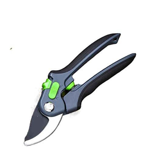 Oxalsäure verdampfer, Schnittschere transplantieren Werkzeug Gärtner Schere Gartenschere Secateurs Obstbaumzweige Schneiden von Schere Picking -Werkzeug(3Colors 10X 02) von TETEOM