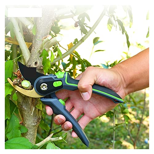 Oxalsäure verdampfer, Schnittschere transplantieren Werkzeug Gärtner Schere Gartenschere Secateurs Obstbaumzweige Schneiden von Schere Picking -Werkzeug(Battery mirror) von TETEOM