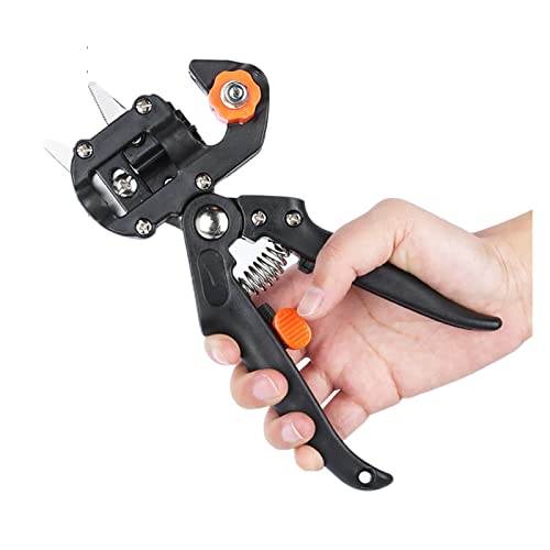 Oxalsäure verdampfer, Transportiergartentransplantation Werkzeug Professioneller Zweigschneider Secateur Beschneidung Pflanze Schere Kisten Obstbaumtransplantierschere Oxalsäure verdampfer, Transportiergartentransplantation Werkzeug Professioneller Zweigschneider Secateur Beschneidung Pflanze Schere Kisten Obstbaumtransplantierschere von TETEOM