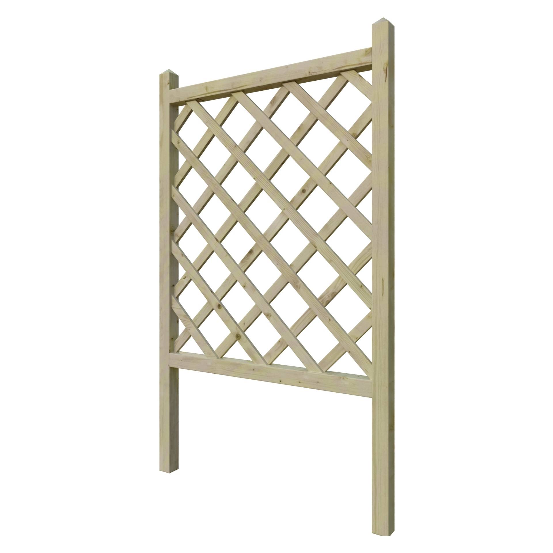 JAN Rankgitter gerade B 80xH 135 cm JAN Rankgitter gerade B 80xH 135 cm von TETZNER & JENTZSCH