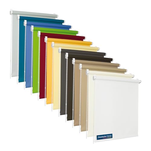 TEXMAXX® Rollo lichtdurchlässig und Blickdicht ohne Bohren - 95 x 220 cm Stoffbreite (Rollobreite 99 cm) in Weiss/Rollos für Fenster ohne Bohren als Sichtschutz Fenster innen inkl. Zubehör von TEXMAXX