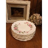 1800 Chrysanthemum Floral, Set Mit 8 Desserttellern Von Collingwood Brothers Longton Rd Nr. 247104 1800 Chrysanthemum Floral, Set Mit 8 Desserttellern Von Collingwood Brothers Longton Rd Nr. 247104 von TFBTreasures