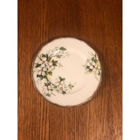 18 cm Royal Albert Weißer Hartriegel Dessertteller, Kleiner Teller von TFBTreasures