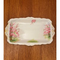 Royal Albert Blossom Time Großer Sandwich Teller von TFBTreasures