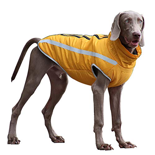 TFENG Wasserdichter Hundemantel Reflektierendes Fleecefutter Hunde Winterjacke (Gelb, XL) von TFENG