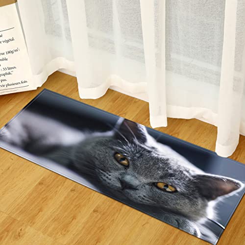 TFLABS Komfort Küchenläufer Grau & Tier Katzen rutschfeste Küchenteppich, Gummirücken Küchenmatte Teppichläufer für Esszimmer, Küche, Flur 40 x 100cm von TFLABS