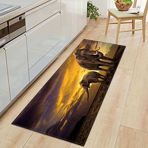 TFLABS Küchenteppiche Braun & Elefant Waschbar Küchenmatte Küchenteppich Badematten rutschfeste Teppich 60 x 180cm von TFLABS