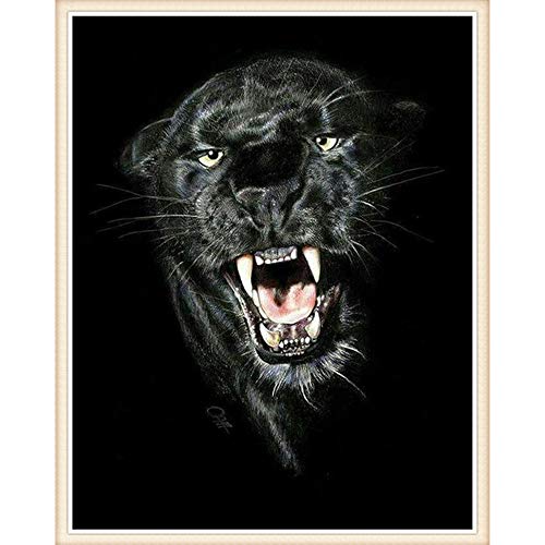 TFjXB DIY 5D Diamant Gemälde von Leinwandbild Nummer Kit,Crystal Strass Stickerei Kreuzstich Arts Craft Decor,DIY 5D Diamant Painting,Brüllender schwarzer Panther von TFjXB