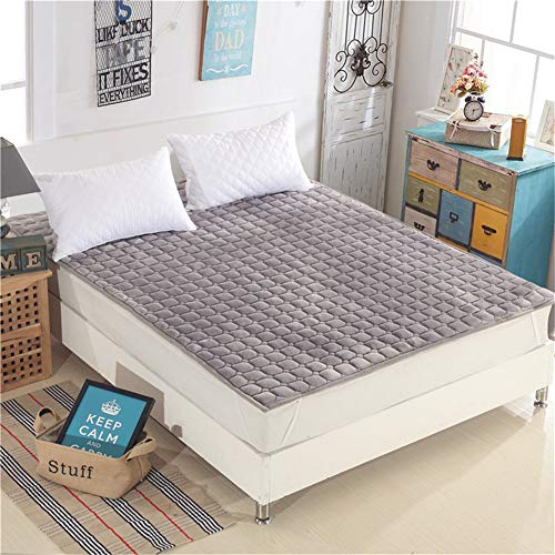 TGBY Einfarbig Flanell Matratze Boden Anti-rutsch Faltbare Tatami-Matte Verdicken Atmungsaktiv Futon Matte doppel Einzelbett Schlaf Mat Für Schlafzimmer Wohnzimmer etcC-120x200cm(47x79inch) von TGBY