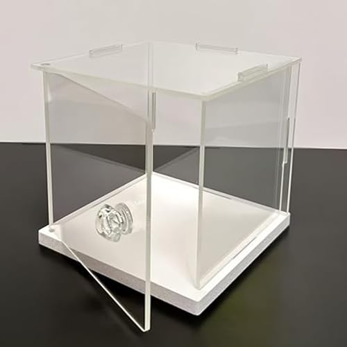 Acryl zeigt, Acrylschaukasten-Kasten-Vorratsbehälter-kundengerechte mehrfache Größen(20 x 20 x 20 cm ( 8 x 8 x 8 in )) von TGDGFKIAS
