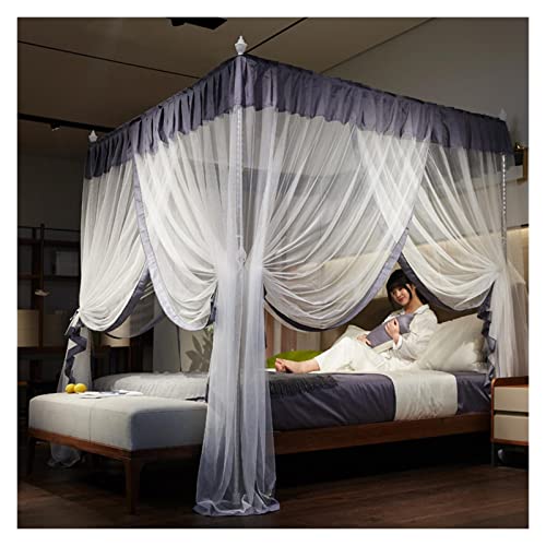 TGDGFKIAS Betten mit Moskitonetzen, Moskitonetz aus Acetat, Palast, Edelstahl, 3-türig, deckenhoch, mehrere Größen, Mehrfarbig(Grijs,1.8 * 2.2m Bed) von TGDGFKIAS
