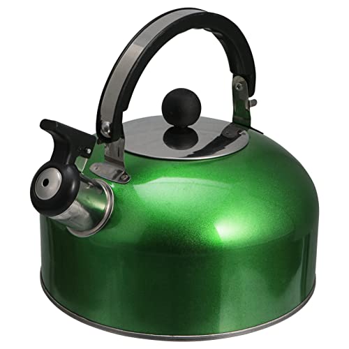Wasser auf dem Dach, 2L Edelstahl-Teekessel, Herdplatte, flache Teekanne, Heißwasserkessel mit ergonomischem Griff for Kaffee und Tee(Green) von TGDGFKIAS