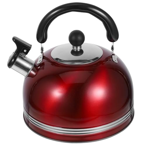 Wasser auf dem Dach, 3L Edelstahl Teekanne Herdplatte Teekanne Heißwasserkessel Wasserkocher Kaffee Carjug Wasserkocher Schnell zu Kochen von TGDGFKIAS