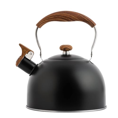 Wasser auf dem Dach, Wasserkocher 2,5 l, Edelstahl-Wasserkocher, Teekanne mit hitzebeständigem Griff, geeignet for alle Herdarten(Black) von TGDGFKIAS