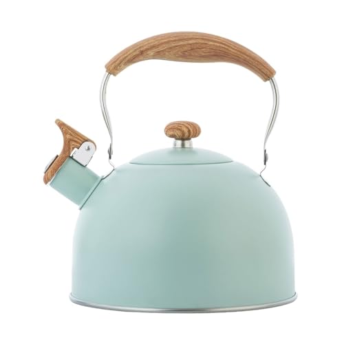 Wasser auf dem Dach, Wasserkocher 2,5 l, Edelstahl-Wasserkocher, Teekanne mit hitzebeständigem Griff, geeignet for alle Herdarten(Light Green) von TGDGFKIAS