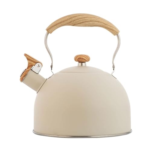 Wasser auf dem Dach, Wasserkocher 2,5 l, Edelstahl-Wasserkocher, Teekanne mit hitzebeständigem Griff, geeignet for alle Herdarten(White) von TGDGFKIAS