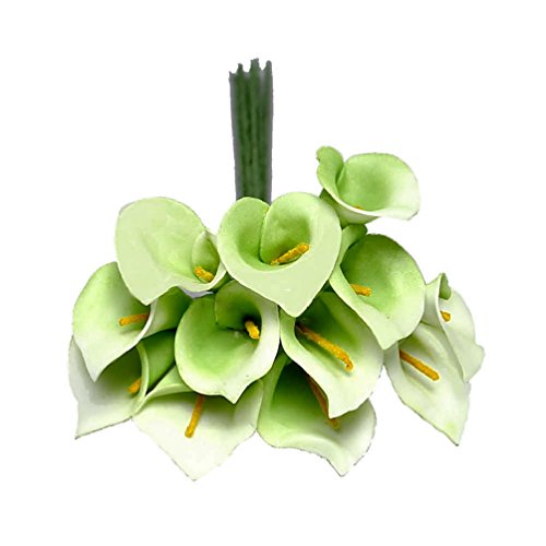 3 Bund/Mini Callas 12 Blüten/ 18cm, Foam- Schaum- Calla/TOP Preis !!! (03 grün/Creme) von TGG