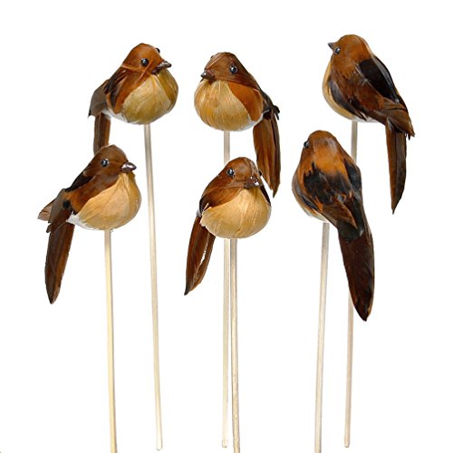 6X Deko Vögel Natur, Stecker, 8cm m. Federn/TOP Preis !!! von TGG