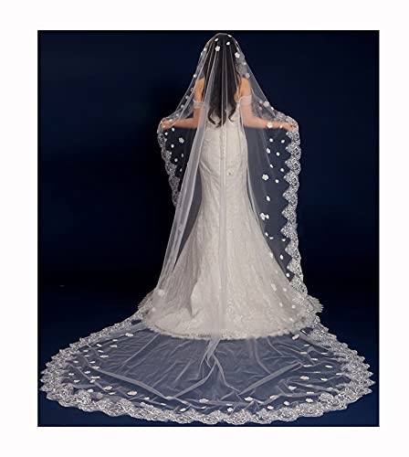 TGRTY Braut Hochzeitsschleier Hochzeitsanhänger Schleier Hochzeitszubehör 1.5/2/3m Braut romantisch 1 Schicht Spitze ohne Kamm Wunderschöner Brauttüll (Color : 2 M) von TGRTY