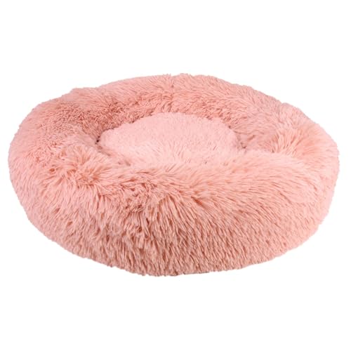 THE CONCEPT FACTORY Kissen für Bett mit beruhigendem Katzenmotiv, 60 cm, Haus und Bazar Bazar und Tierwaren, Rosa THE CONCEPT FACTORY Kissen für Bett mit beruhigendem Katzenmotiv, 60 cm, Haus und Bazar Bazar und Tierwaren, Rosa von THE CONCEPT FACTORY