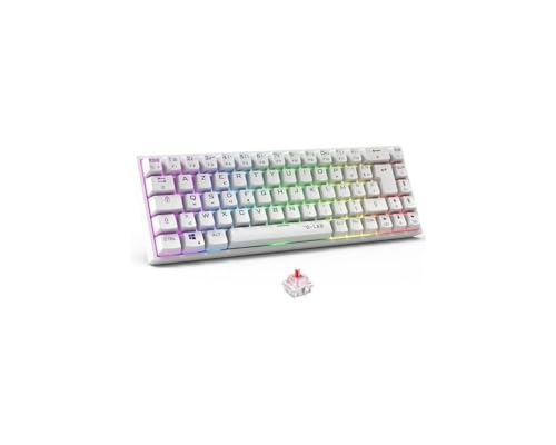 The G-Lab Keyz Titanium WL – kabellose Gaming-Tastatur 65% AZERTY – mechanische Tastatur, Rot, RGB 100% anpassbar, programmierbare Makros – kabellose Gaming-Tastatur PC, PS4, PS5, Xbox – Weiß von THE G-LAB