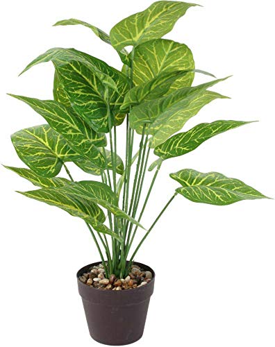 PLANTA ARTIFICIAL 55 CM von THE HOME DECO FACTORY