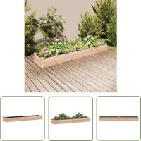 The Living Store - Hochbeet mit Einsatz 240x45x25 cm Massivholz Tanne - Holz Hochbeet - Tannenzapfen Hochbeet - Gartengemüse Bed - Gemüsegarten The Living Store - Hochbeet mit Einsatz 240x45x25 cm Massivholz Tanne - Holz Hochbeet - Tannenzapfen Hochbeet - Gartengemüse Bed - Gemüsegarten von THE LIVING STORE