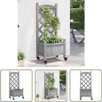 The Living Store - Pflanzkübel mit Rankgitter und Rollen Grau Massivholz Tanne - Blumentopf - Rankgitter - Holzpflanze - Gartendeko - Balkonmöbel von THE LIVING STORE