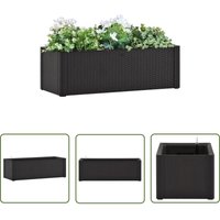 Garten-Hochbeet Selbstbewässerungssystem Anthrazit 100x43x33 cm - Gartengefäß - Hochbeet - Blumenerde - Polypropylen - Anthrazit - The Living Store von THE LIVING STORE