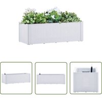 The Living Store - Garten-Hochbeet mit Selbstbewässerungssystem Weiß 100x43x33 cm - Gartengefäß - Hochbeet - Blumenerde - Selbstbewässerung The Living Store - Garten-Hochbeet mit Selbstbewässerungssystem Weiß 100x43x33 cm - Gartengefäß - Hochbeet - Blumenerde - Selbstbewässerung von THE LIVING STORE