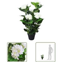 The Living Store - Künstliche Hortensie mit Topf 60 cm Weiß - Künstliche Hortensien - Deko Blumen - Zimmerpflanzen - Kunstblumen - Weiße Blume The Living Store - Künstliche Hortensie mit Topf 60 cm Weiß - Künstliche Hortensien - Deko Blumen - Zimmerpflanzen - Kunstblumen - Weiße Blume von THE LIVING STORE