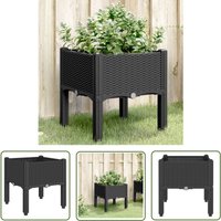 The Living Store - Pflanzkasten mit Beinen Schwarz 40x40x42 cm pp - Blumentopf - Pflanzkübel - Balkonpflanze - Gartendeko - Rattan Optik The Living Store - Pflanzkasten mit Beinen Schwarz 40x40x42 cm pp - Blumentopf - Pflanzkübel - Balkonpflanze - Gartendeko - Rattan Optik von THE LIVING STORE
