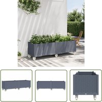 Pflanzkasten mit Rollen Grau 160x50x54 cm pp - Pflanzkübel - Blumentopf - Gartenmöbel - Rollcontainer - Balkonpflanze - The Living Store von THE LIVING STORE