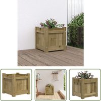 Pflanzkübel 31x31x31 cm Kiefernholz Imprägniert - Holzpflanzetopf - Kiefernholz Topf - Gartentöpfen - Balkonpflanzenbehälter - Blumenerde - The von THE LIVING STORE